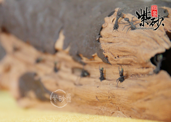 紫砂茶宠树桩蚂蚁图片